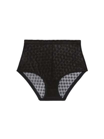 PLUME Control Full Brief