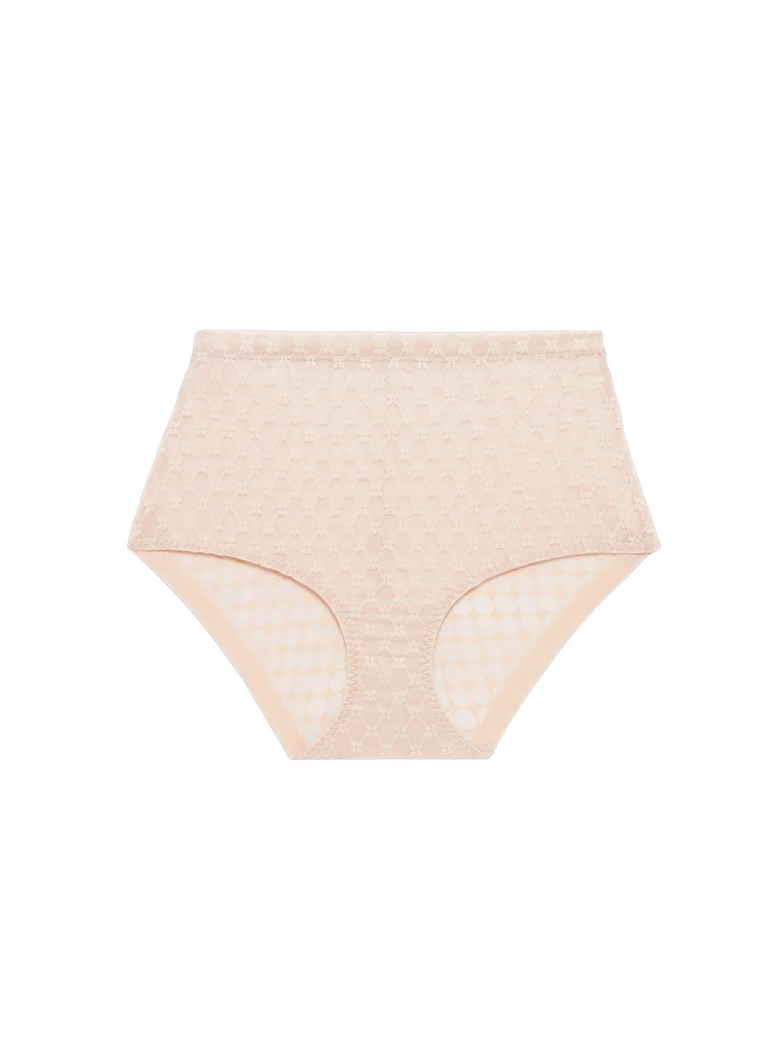 PLUME Control Full Brief