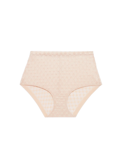 PLUME Control Full Brief