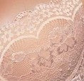ITALIAN CLASS Wireless Lace Bralette