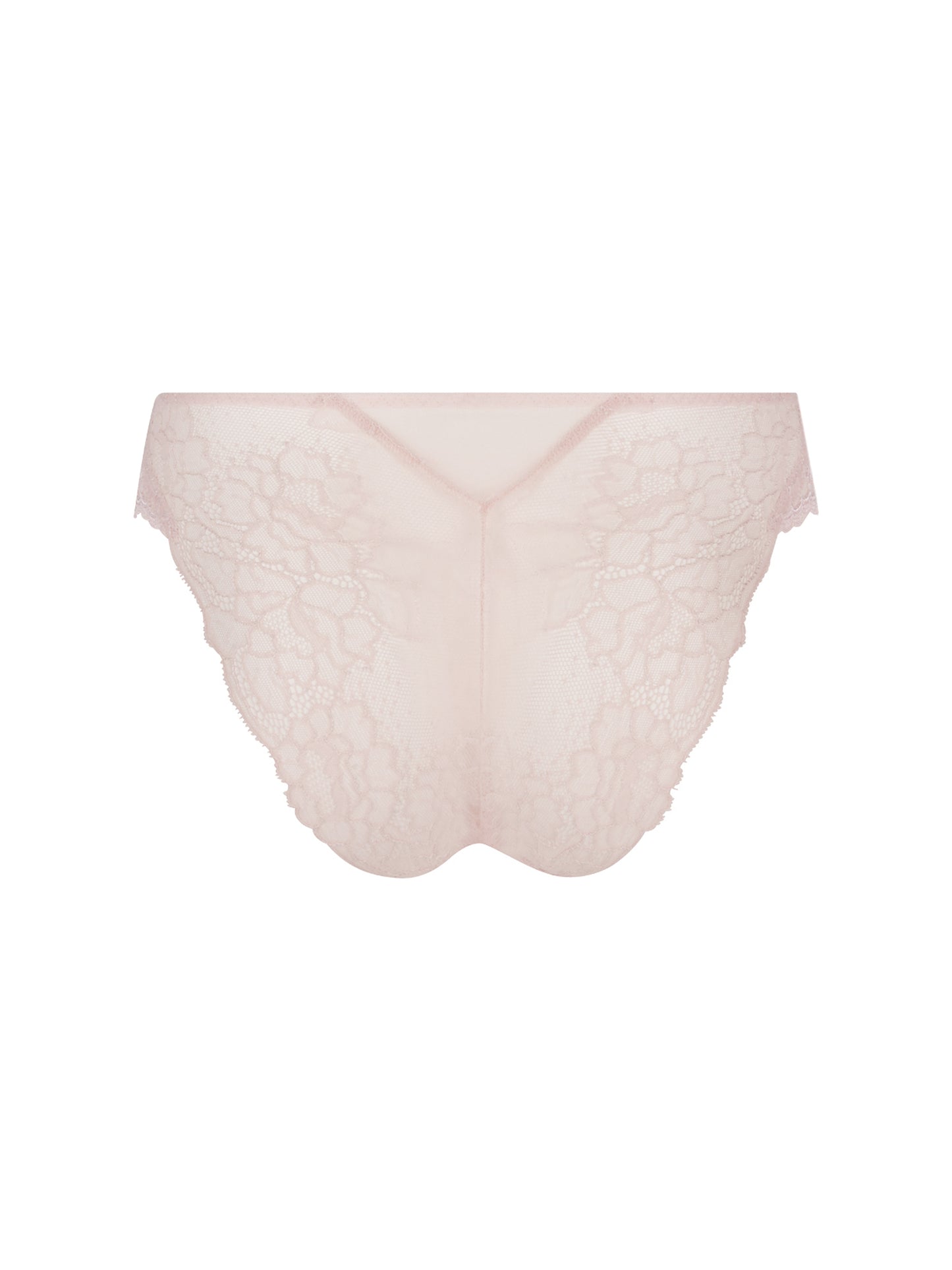 Back of the Sublime En Dentelle Lace Italian Brief