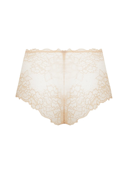 SUBLIME EN DENTELLE Retro Brief