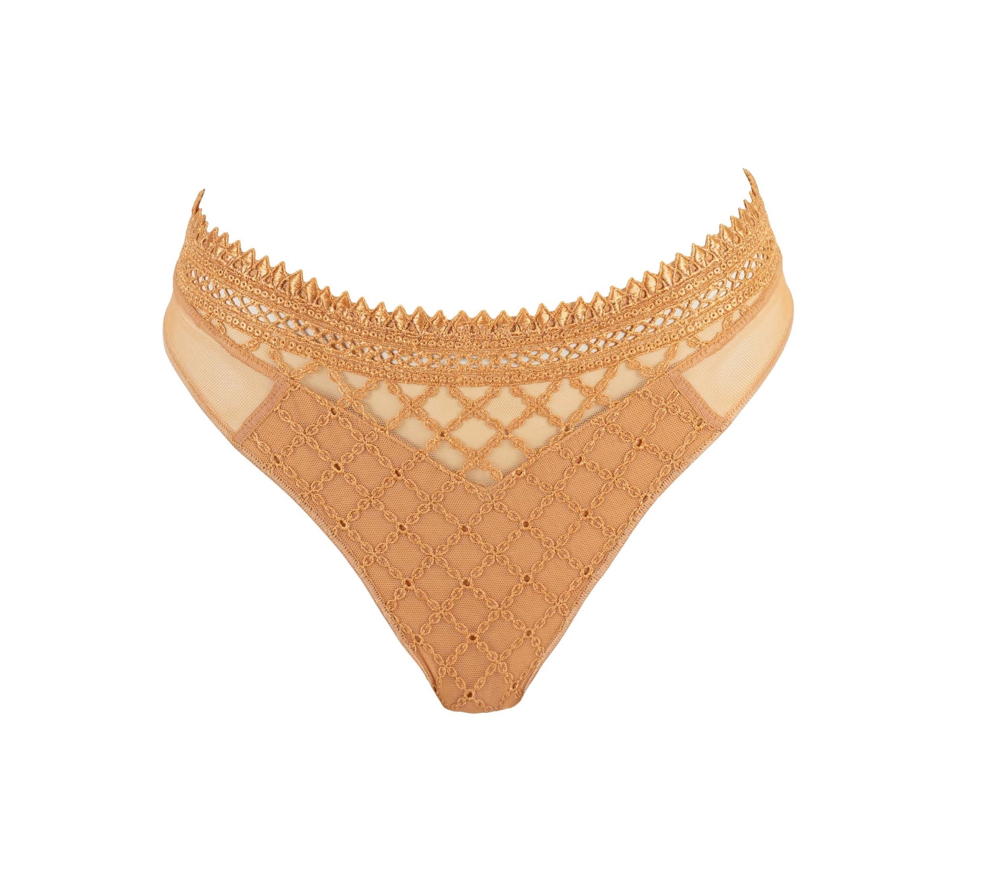 Elegant embroidery brief from the Paco line  by Louisa Bracq from France at Di Moda Lingerie Toronto.