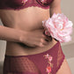 Plumetis lace brief panties from the Lovely Rose line by Leilieve from Italy at Di Moda Lingerie Toronto.